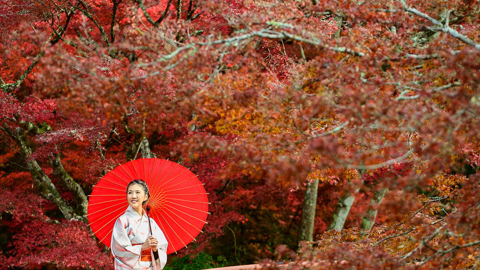 Une femme japonaise portant un kimono se tient sur un pont rouge, tenant un parapluie rouge, entourée d'arbres momiji d'un rouge éclatant en arrière-plan.