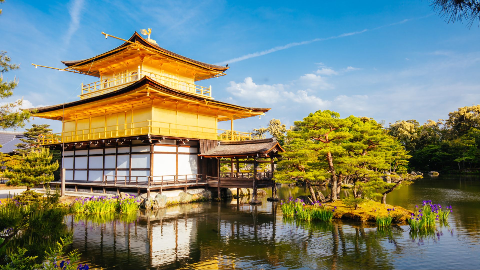 Le Pavillon d'or brille de mille feux à Kyoto, au Japon, sous un ciel d'un bleu éclatant.